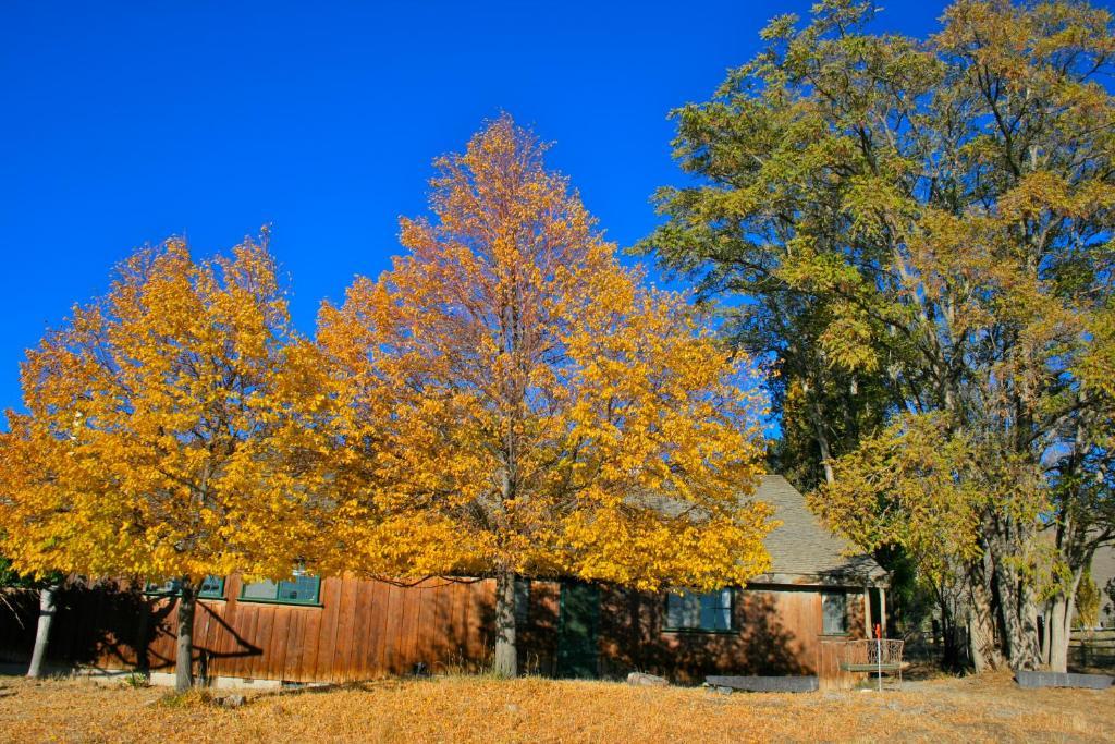 Old Pioneer Garden Country Inn Unionville Екстериор снимка